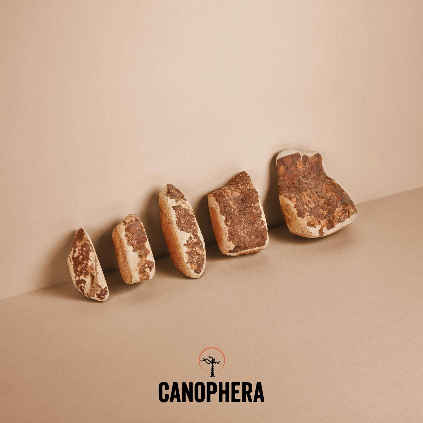 CANOPHERA GmbH - Hondenkauwstok van briarwortel