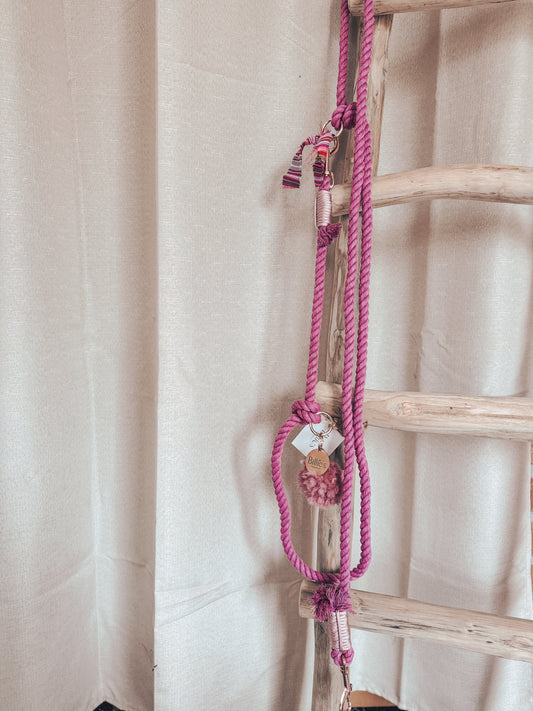 Hand free leash rose