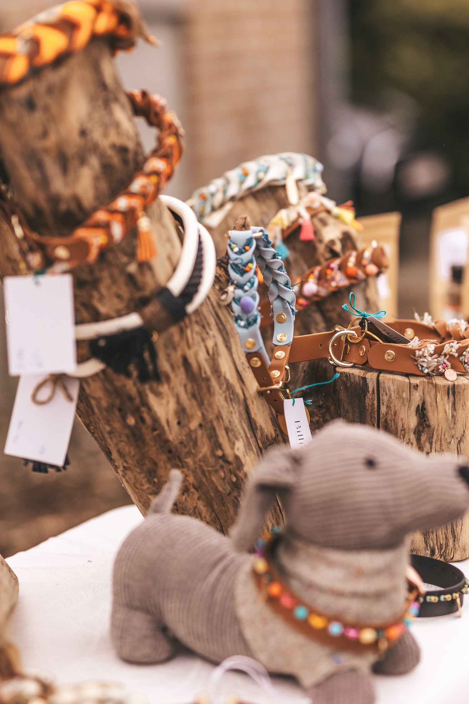Dog collars