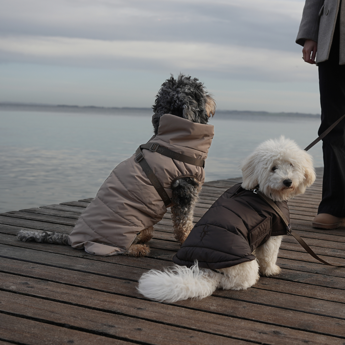 Staey - Nora Hondenjas | Espresso: XXS