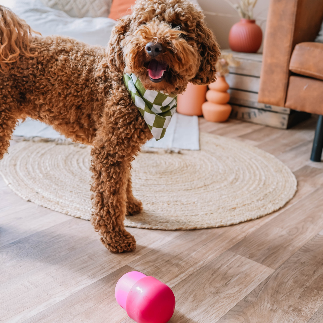 Babelle For Dogs - De Fun Feeder - Snackdispenser - Lik speeltje