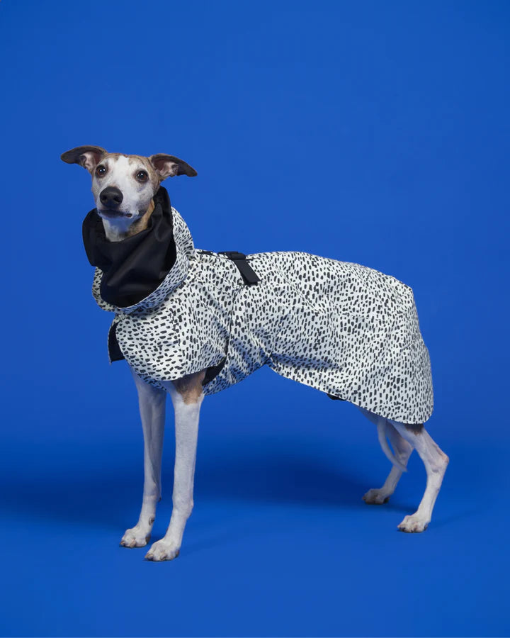 PAIKKA Raincoat 2.0