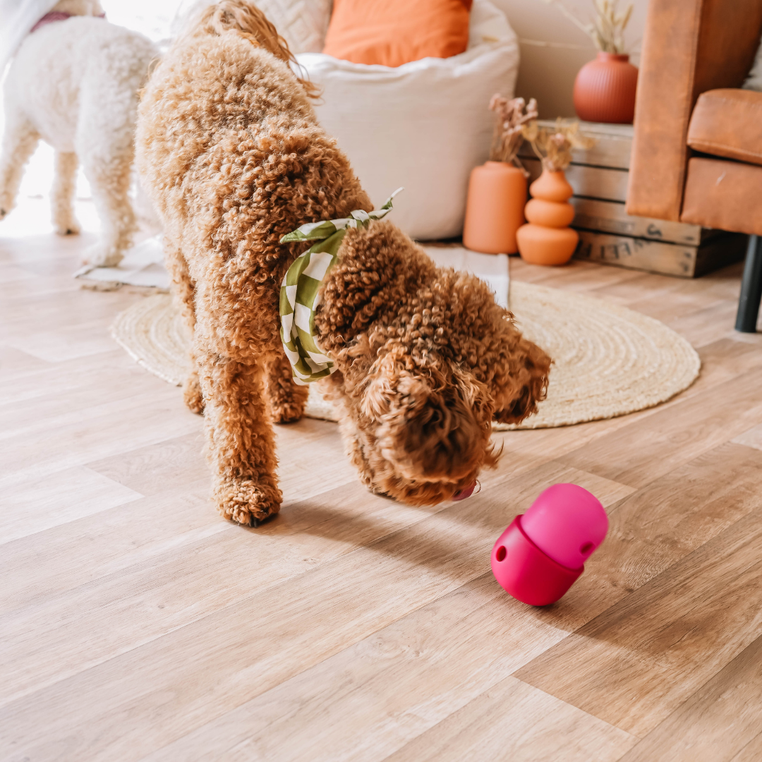 Babelle For Dogs - De Fun Feeder - Snackdispenser - Lik speeltje