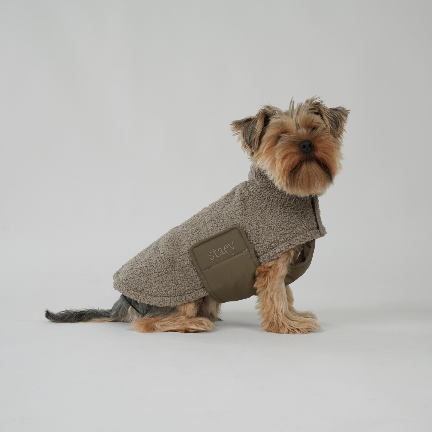 Hondenjas Teddy | Taupe