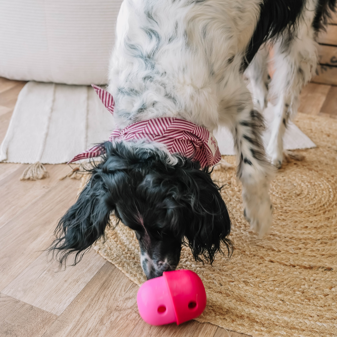 Babelle For Dogs - De Fun Feeder - Snackdispenser - Lik speeltje