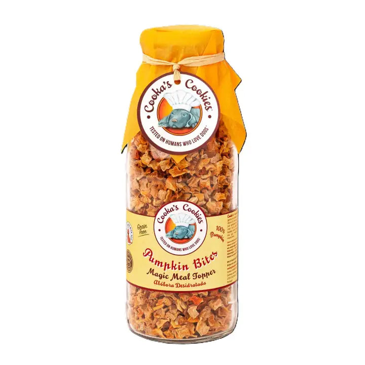 Pompoenchips - Luchtgedroogde Maaltijdtoppers