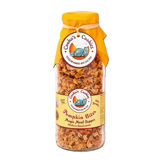Pompoenchips - Luchtgedroogde Maaltijdtoppers