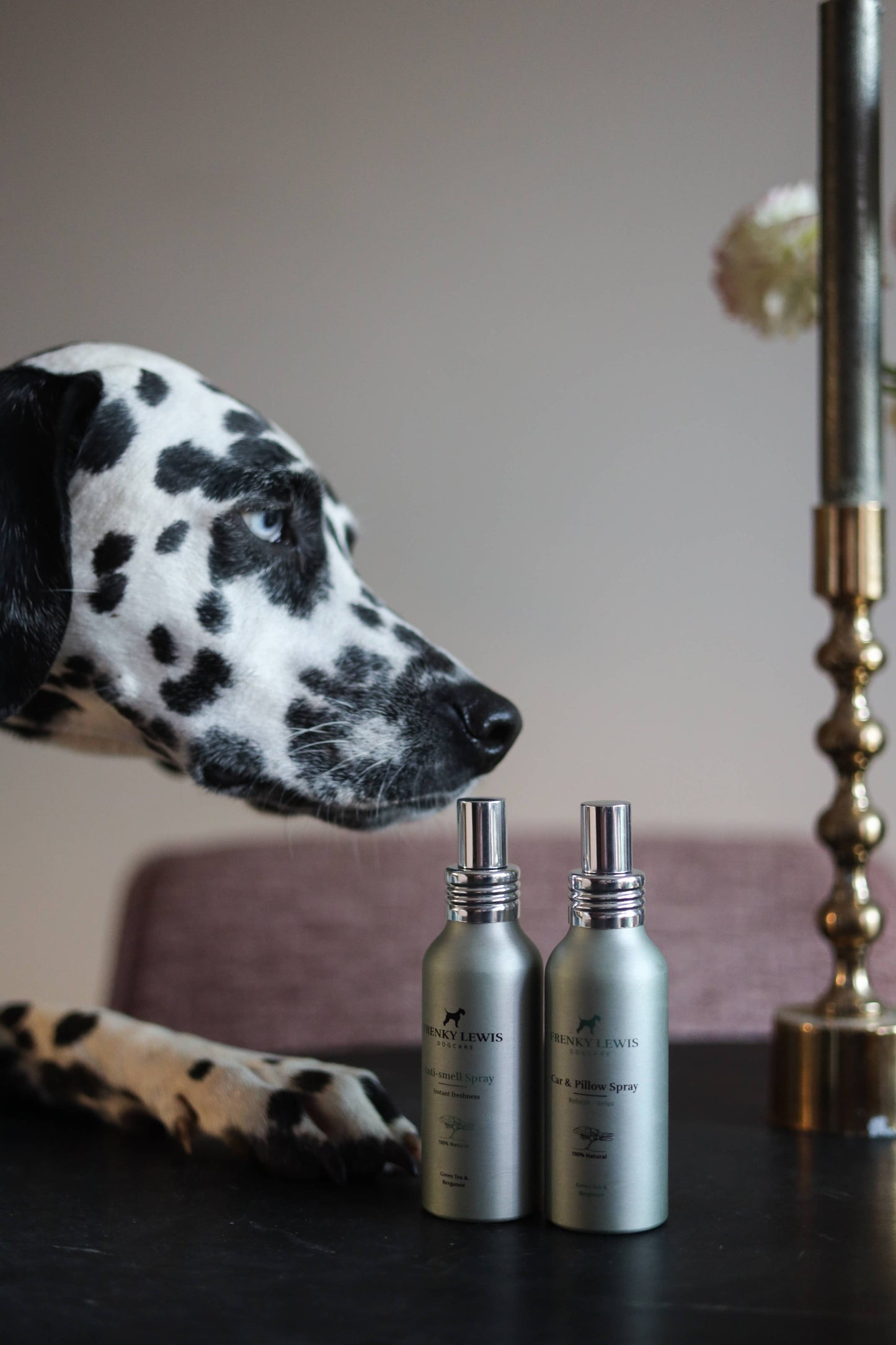 Car & Pillow Spray - Sandalwood, Jasmine, Vanilla - 100ML