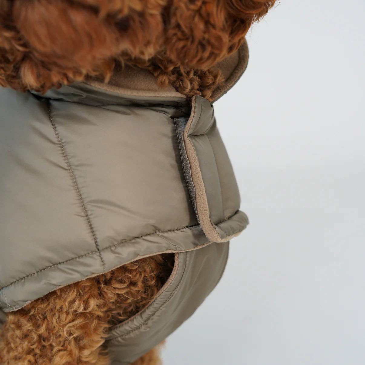 Nora Hondenjas | Taupe: XL