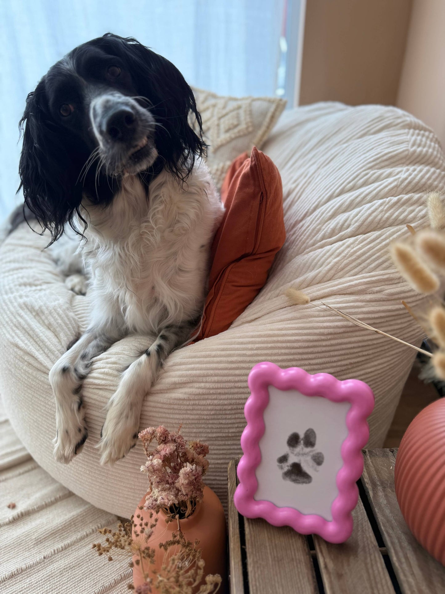 Babelle For Dogs - Pootafdrukset - Hond Pootafdruk