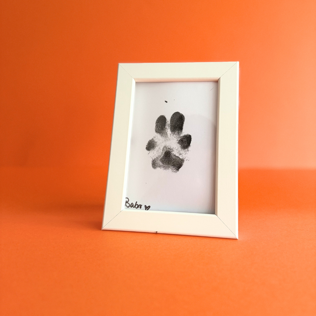 Babelle For Dogs - Pootafdrukset - Hond Pootafdruk