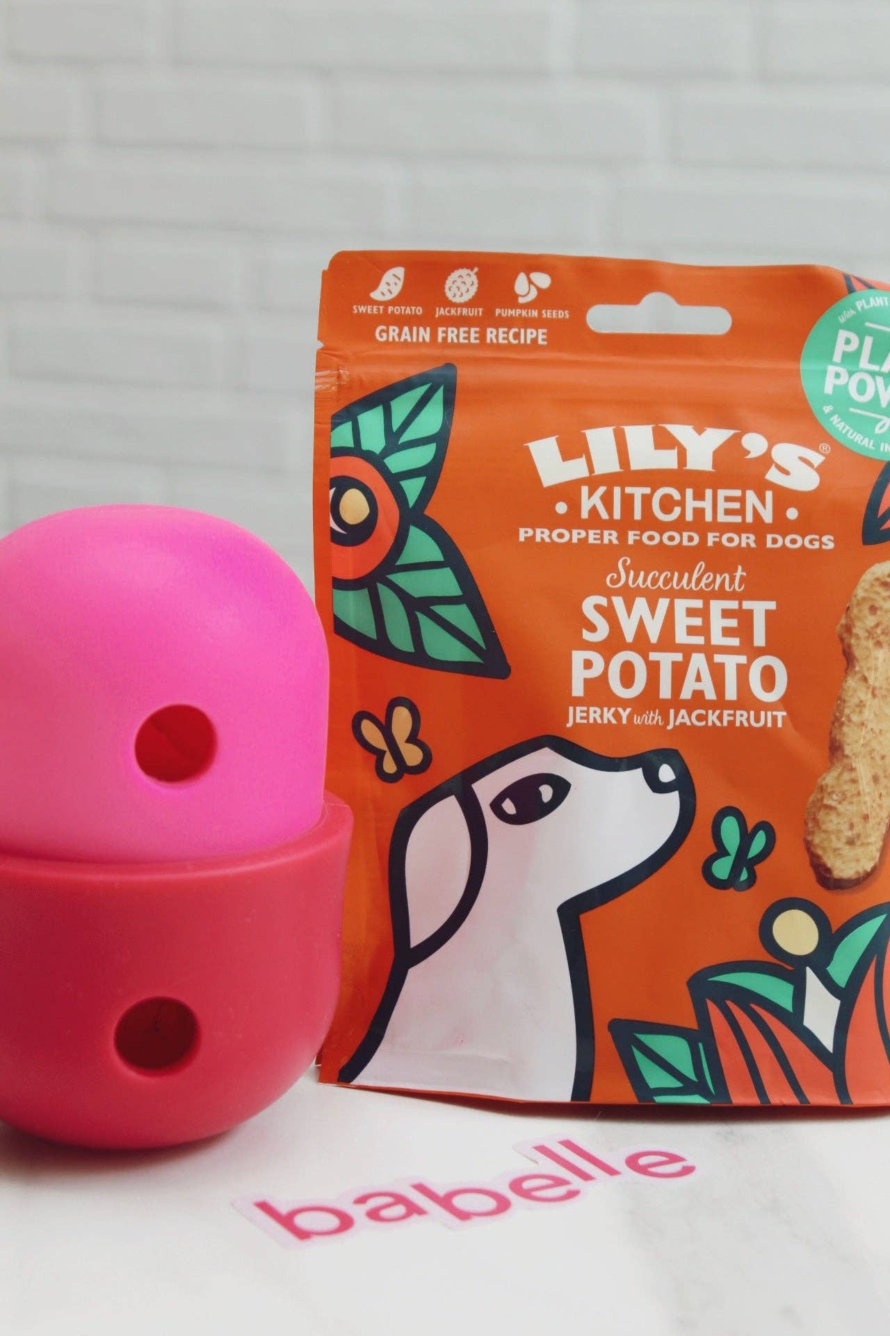 Babelle For Dogs - De Fun Feeder - Snackdispenser - Lik speeltje