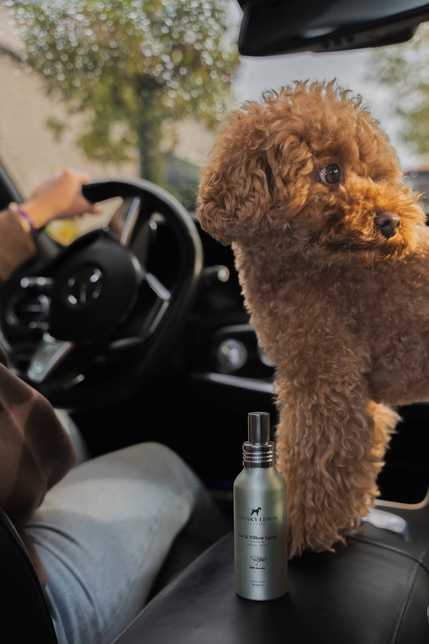 Car & Pillow Spray - Green Tea, Bergamot - 100ML
