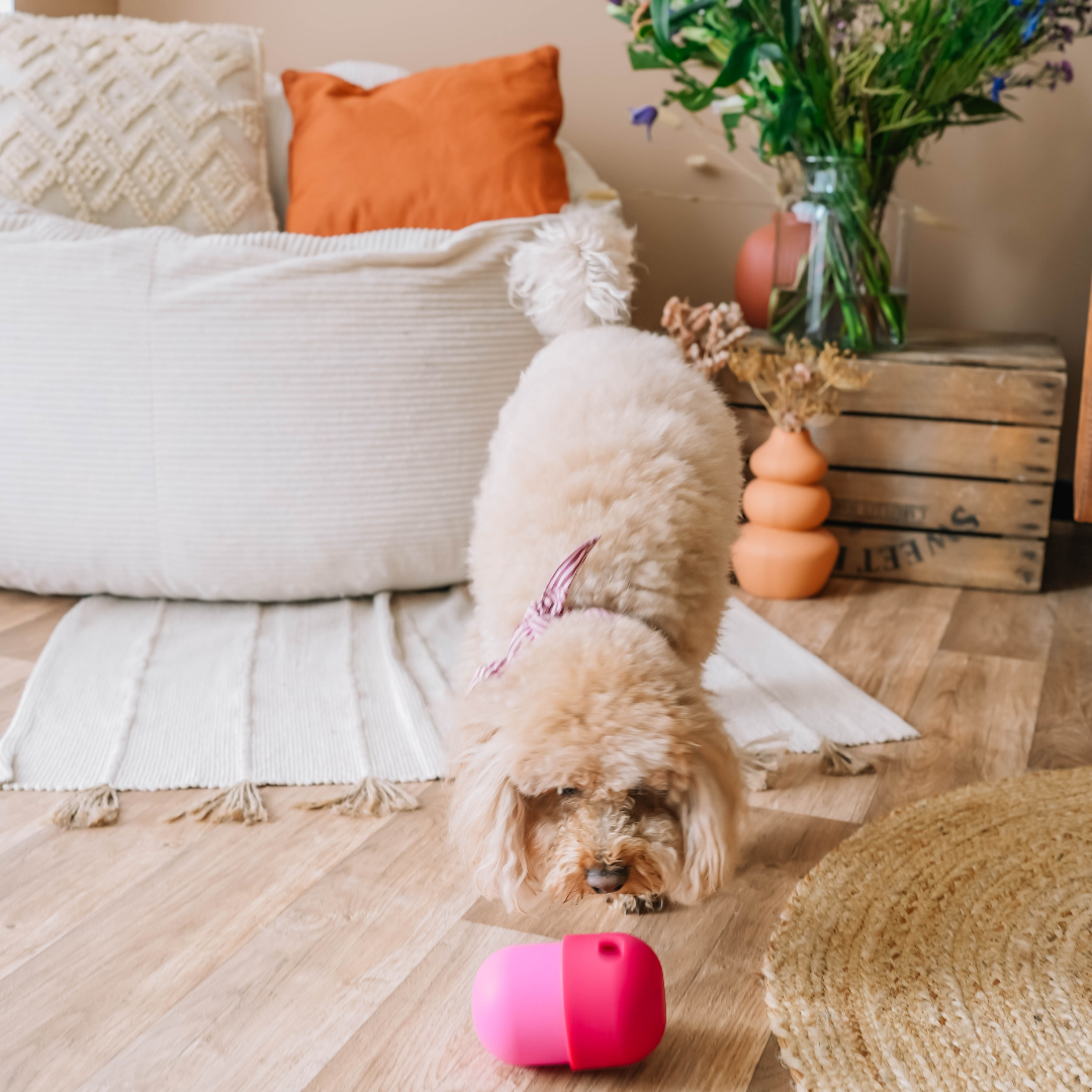 Babelle For Dogs - De Fun Feeder - Snackdispenser - Lik speeltje