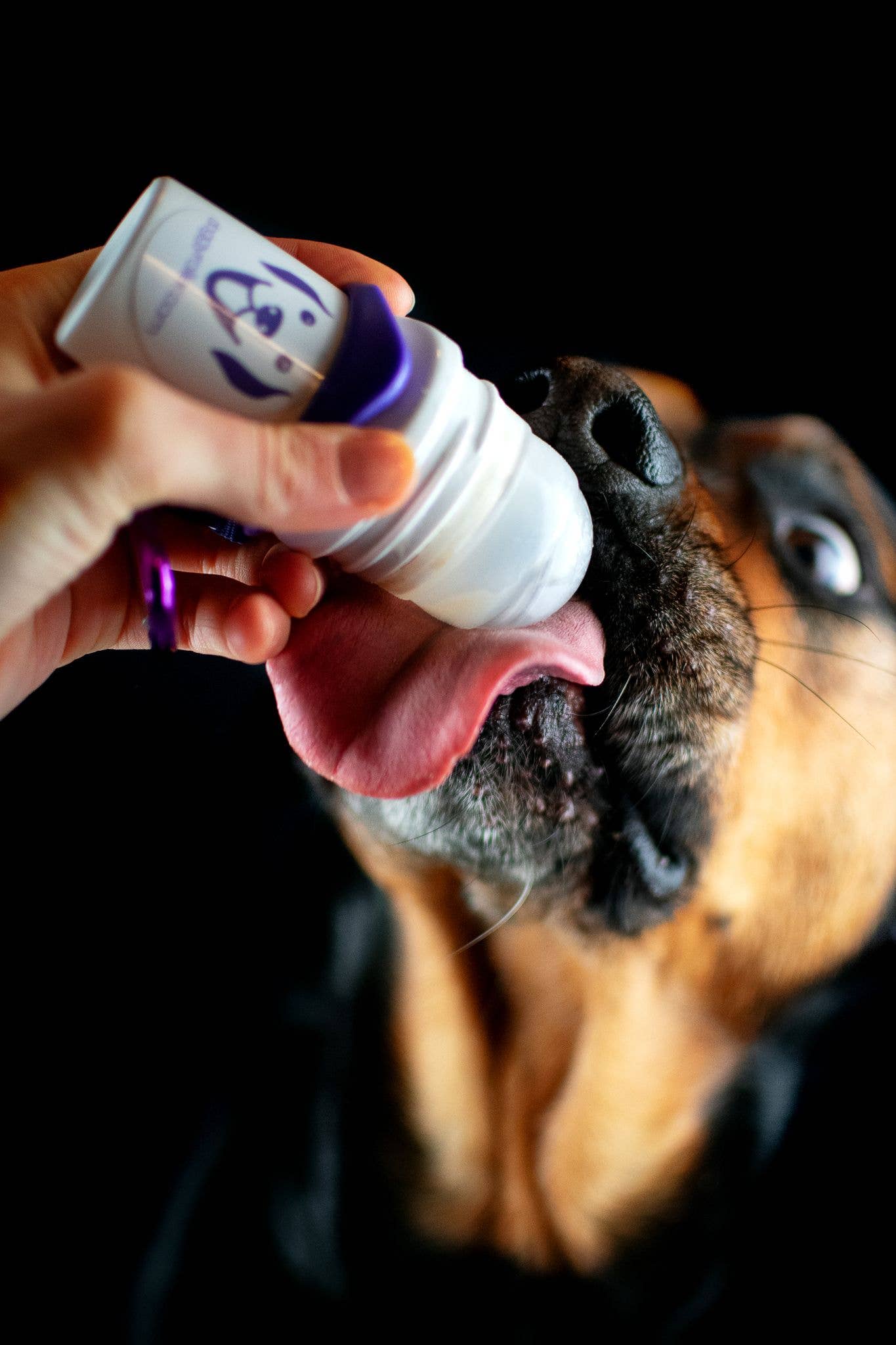 B&W Werbeartikel GmbH - Doggyroller - DOGGYROLLER met karabijnhaakhouder turquoise - kalmerend en smakelijk