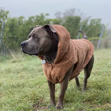 Spark Paws Teddy Sherpa Fleece Hondenjas - Bruin