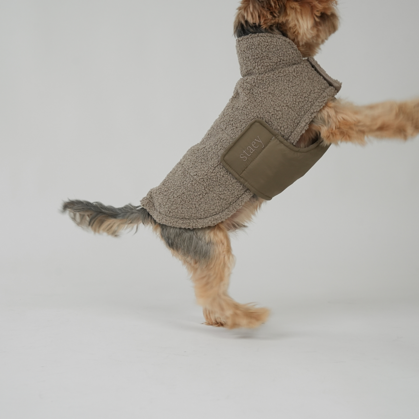 Hondenjas Teddy | Taupe