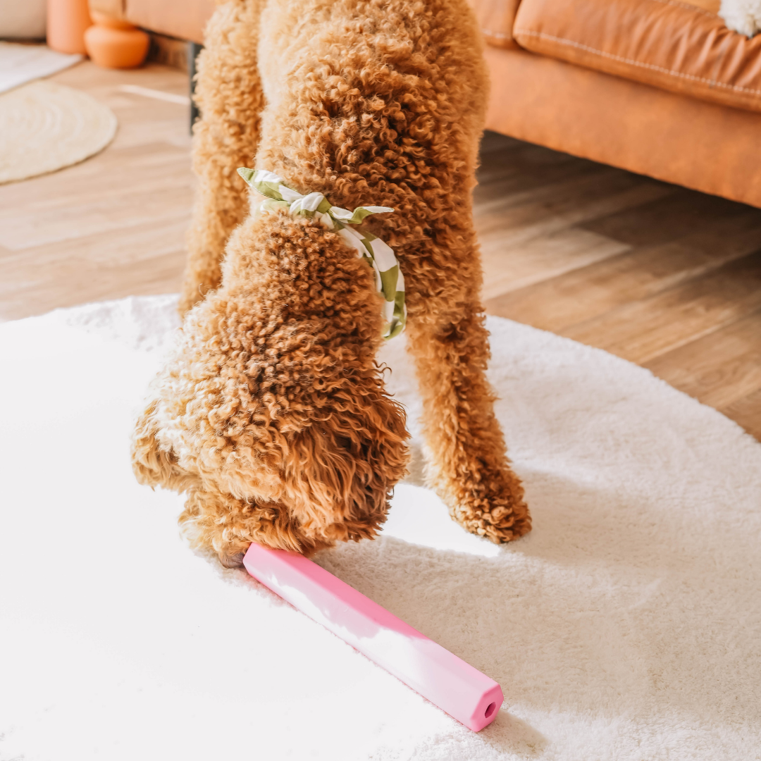 Babelle For Dogs - The Treat Tube - interactief speeltje voor honden - oranje