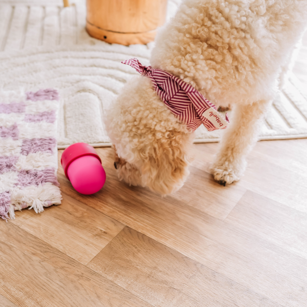 Babelle For Dogs - De Fun Feeder - Snackdispenser - Lik speeltje