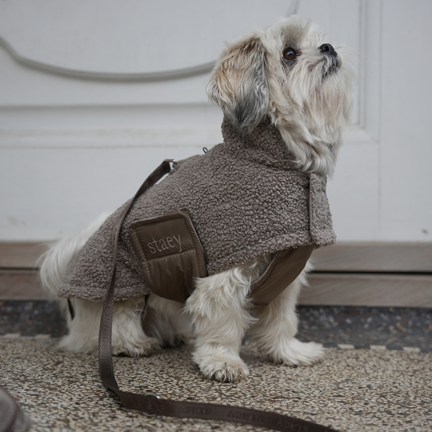 Hondenjas Teddy | Taupe