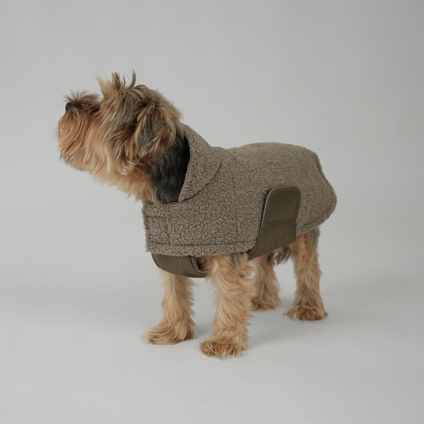 Hondenjas Teddy | Taupe