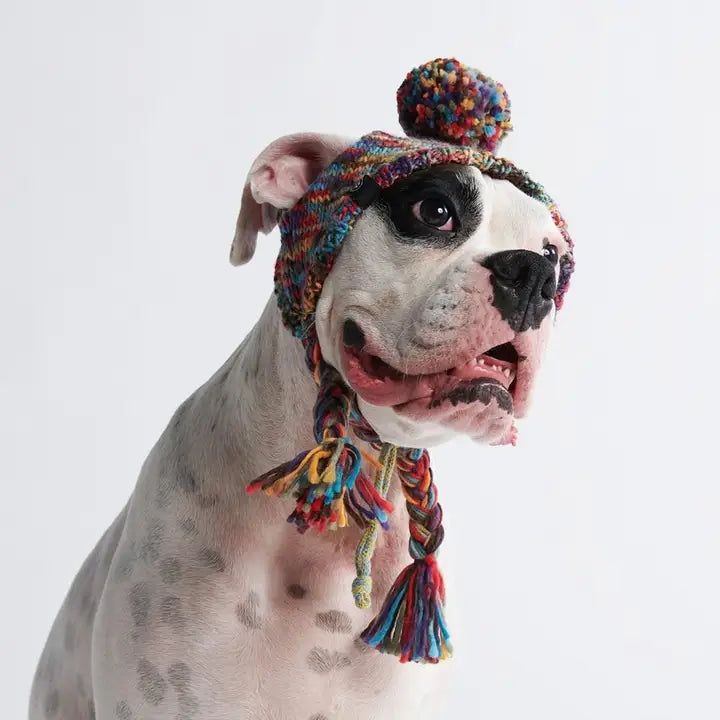 Spark Paws Knit Pom Pom Hondenmuts - Caleidoscoop