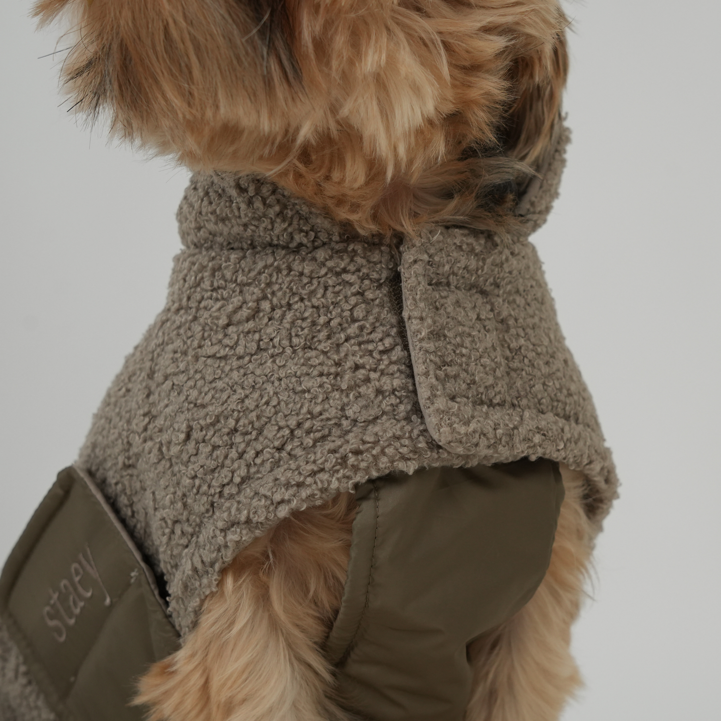 Hondenjas Teddy | Taupe