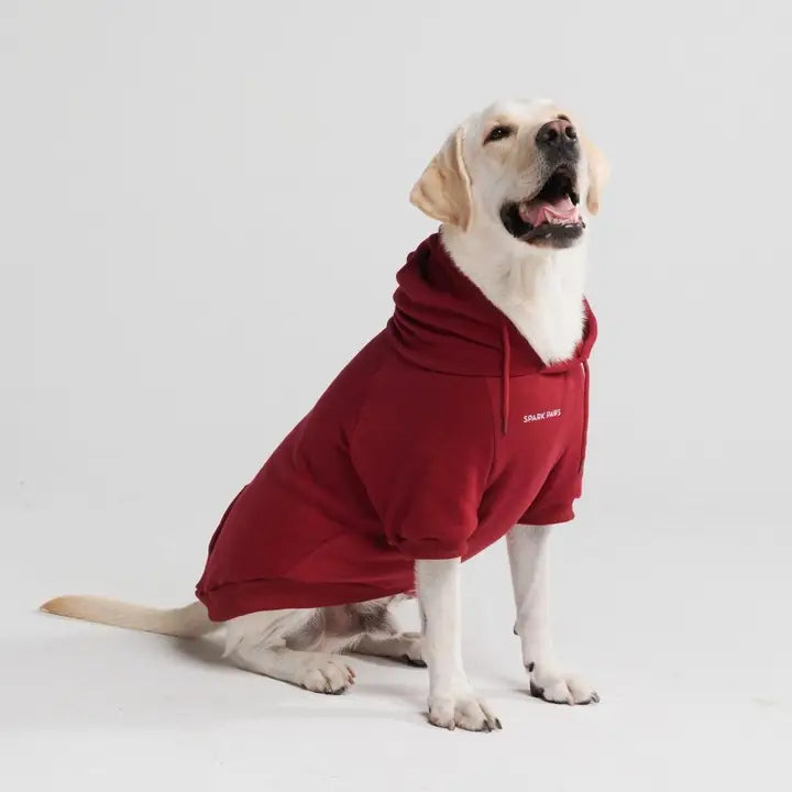 Spark Paws Essential Hondenhoodie - Bordeaux