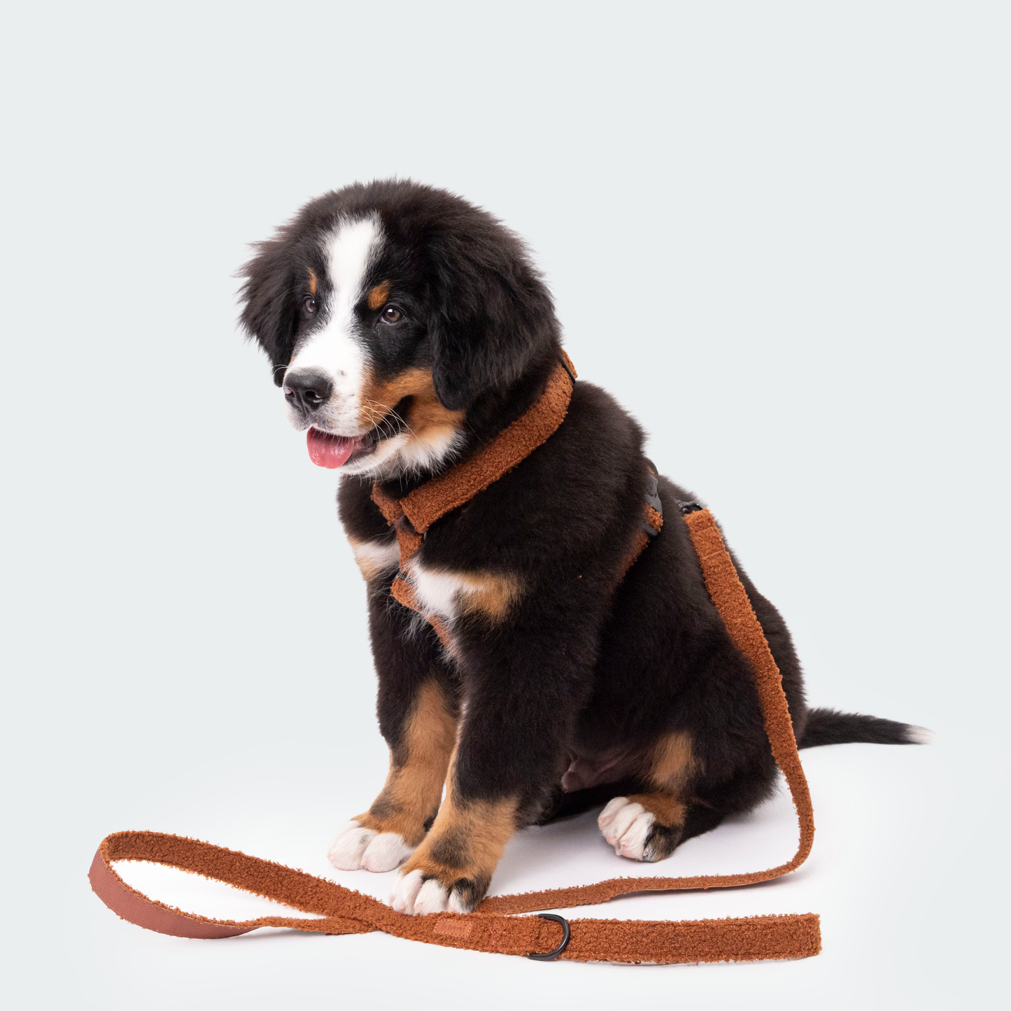 Trimmi - Teddy tuigje bruin