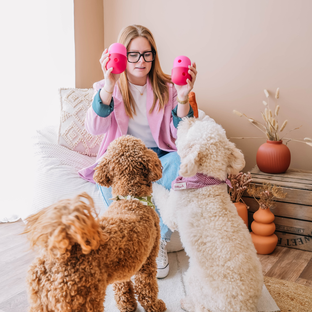 Babelle For Dogs - De Fun Feeder - Snackdispenser - Lik speeltje