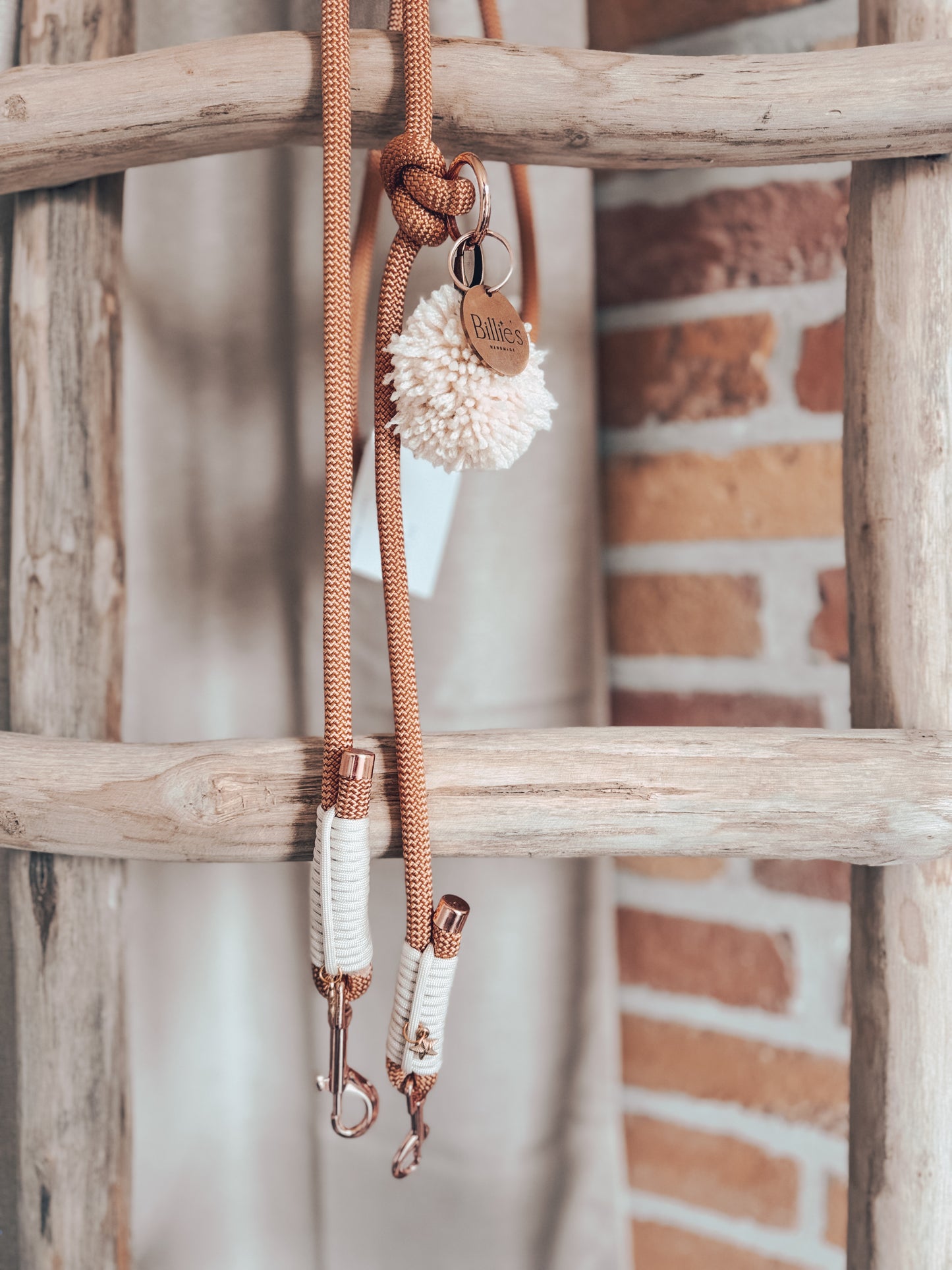 Hand free leash salmon