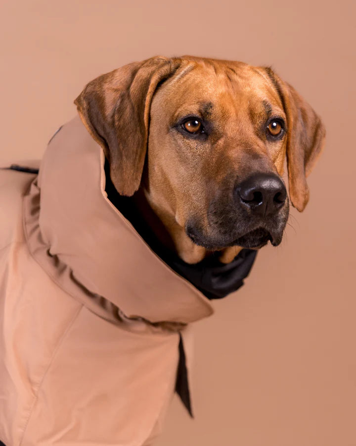 PAIKKA Visibility Winter Jacket Wool Taupe