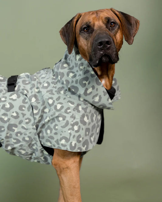 PAIKKA Visibility Raincoat Lite Green Leo