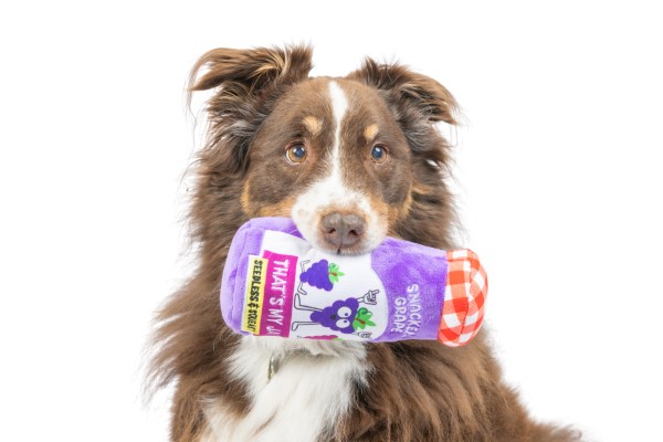 Lulubelles Power Plush Snackers Grape Jam Large