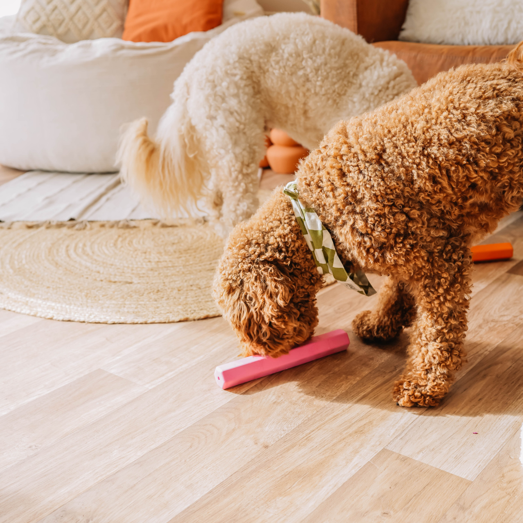 Babelle For Dogs - The Treat Tube - interactief speeltje voor honden - oranje