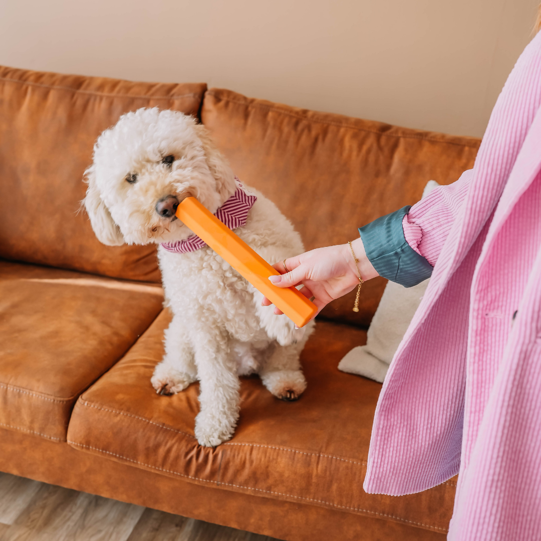 Babelle For Dogs - The Treat Tube - interactief speeltje voor honden - oranje