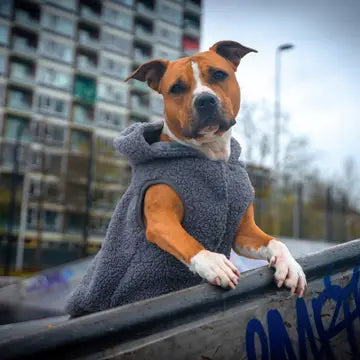 Spark Paws Teddy Sherpa Hondenjas - Grijs