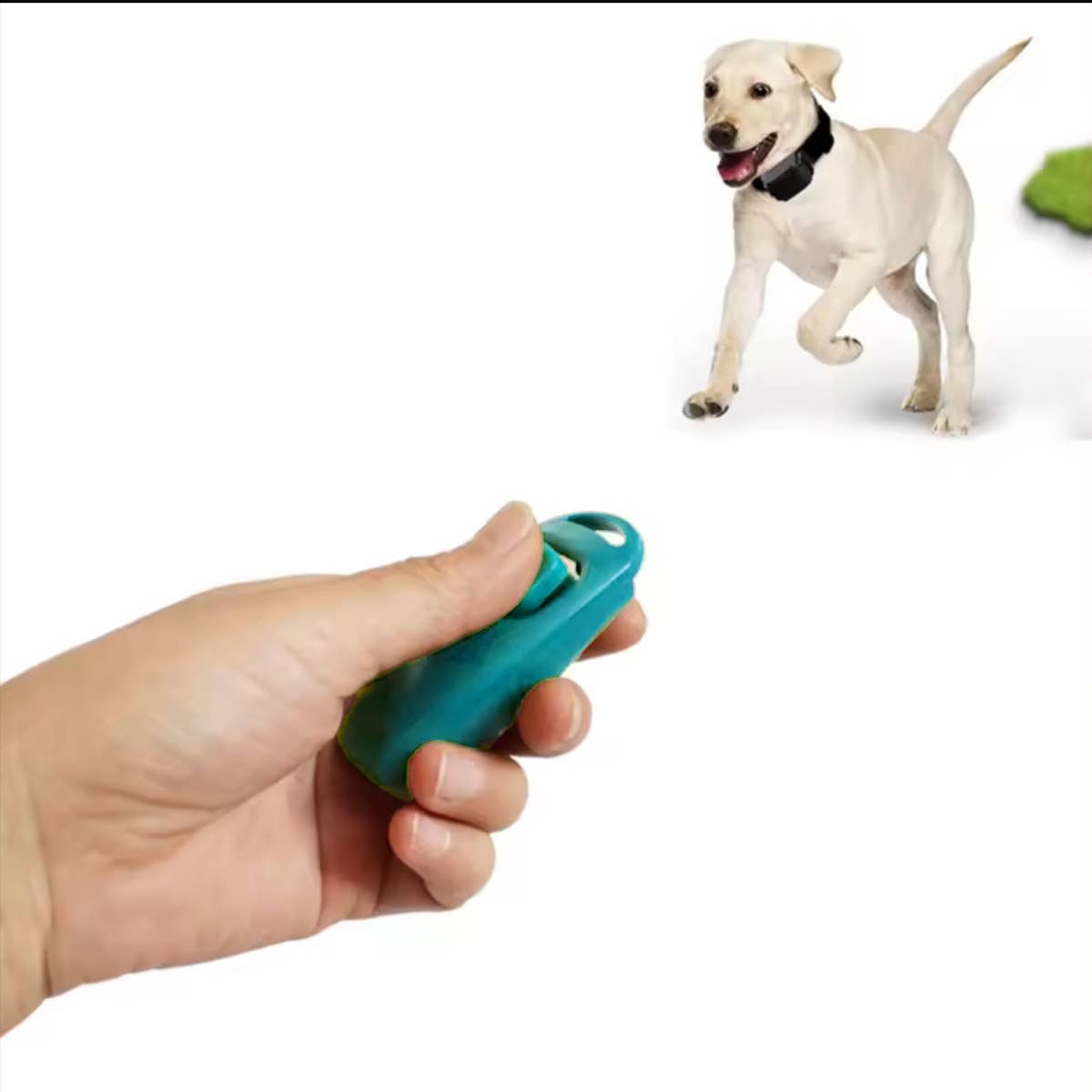 B&W Werbeartikel GmbH - Doggyroller - Professionele clicker met fluitje voor honden