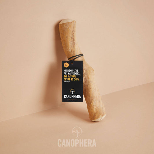 CANOPHERA GmbH - Hondenkluif van koffiebomenhout