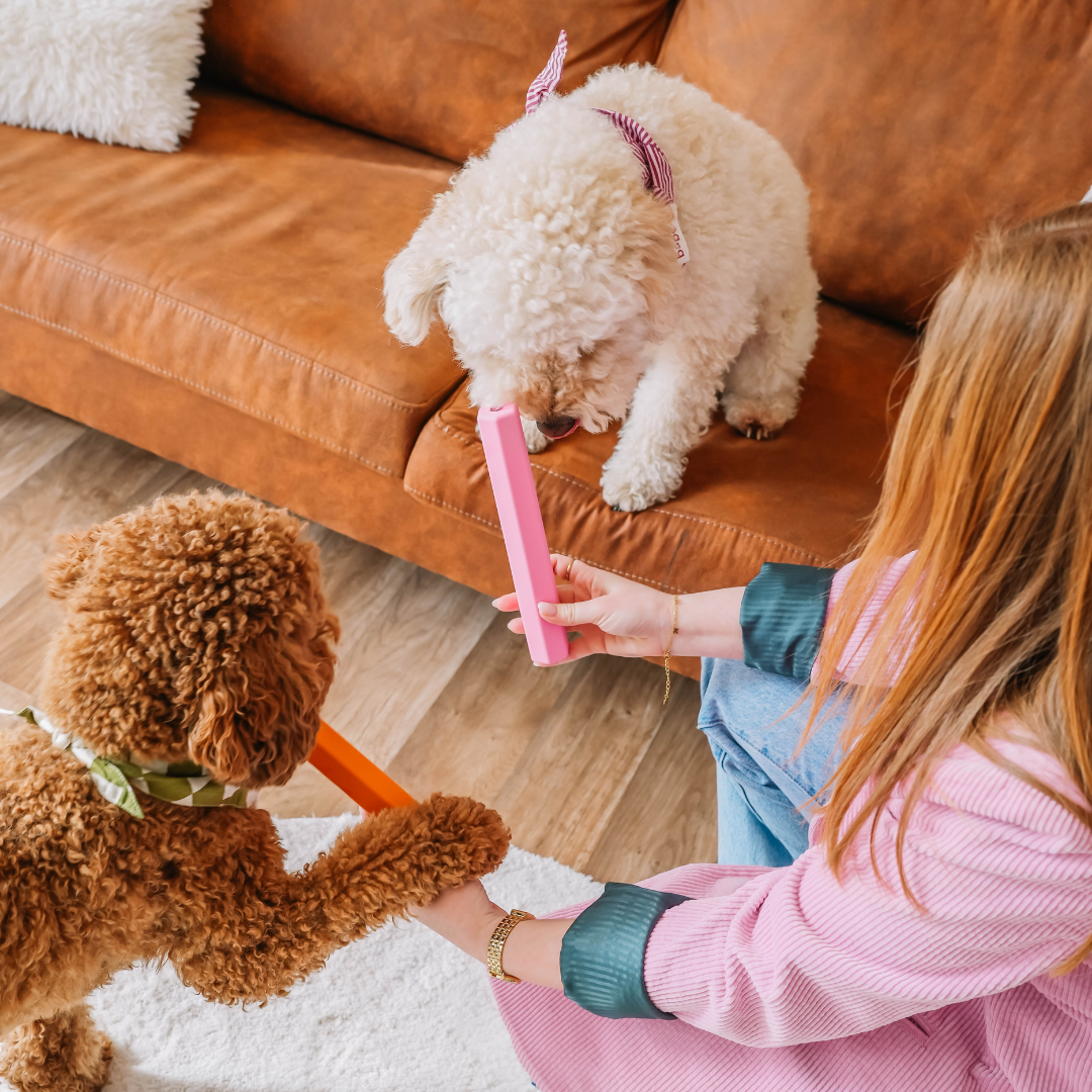 Babelle For Dogs - The Treat Tube - interactief speeltje voor honden - oranje