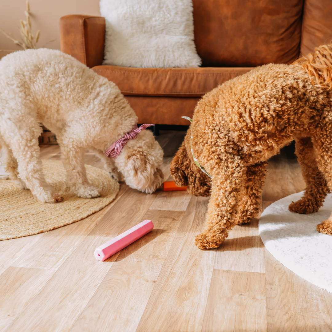 Babelle For Dogs - The Treat Tube - interactief speeltje voor honden - oranje