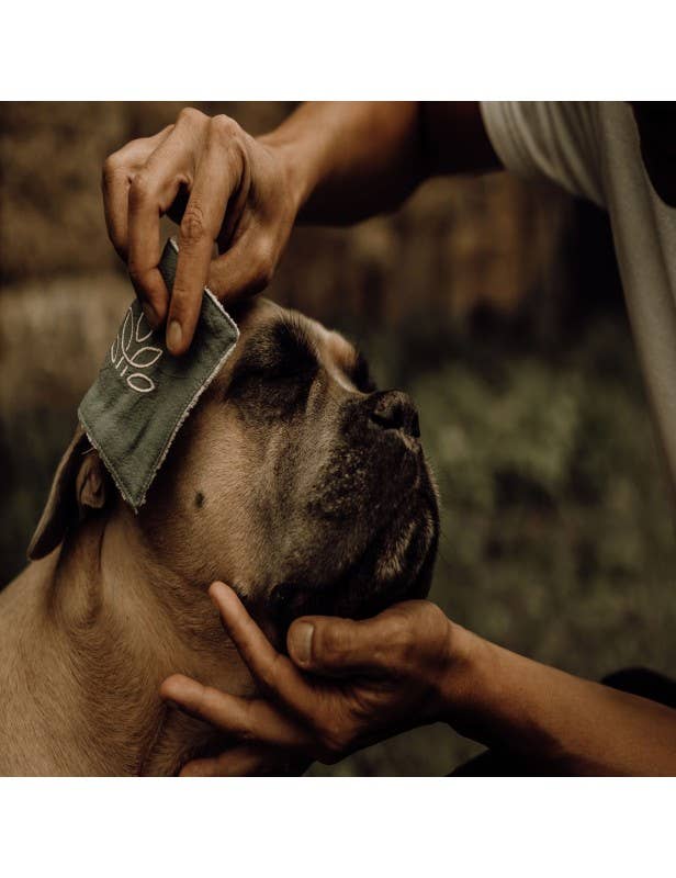 Reinigingslotion voor honden en katten