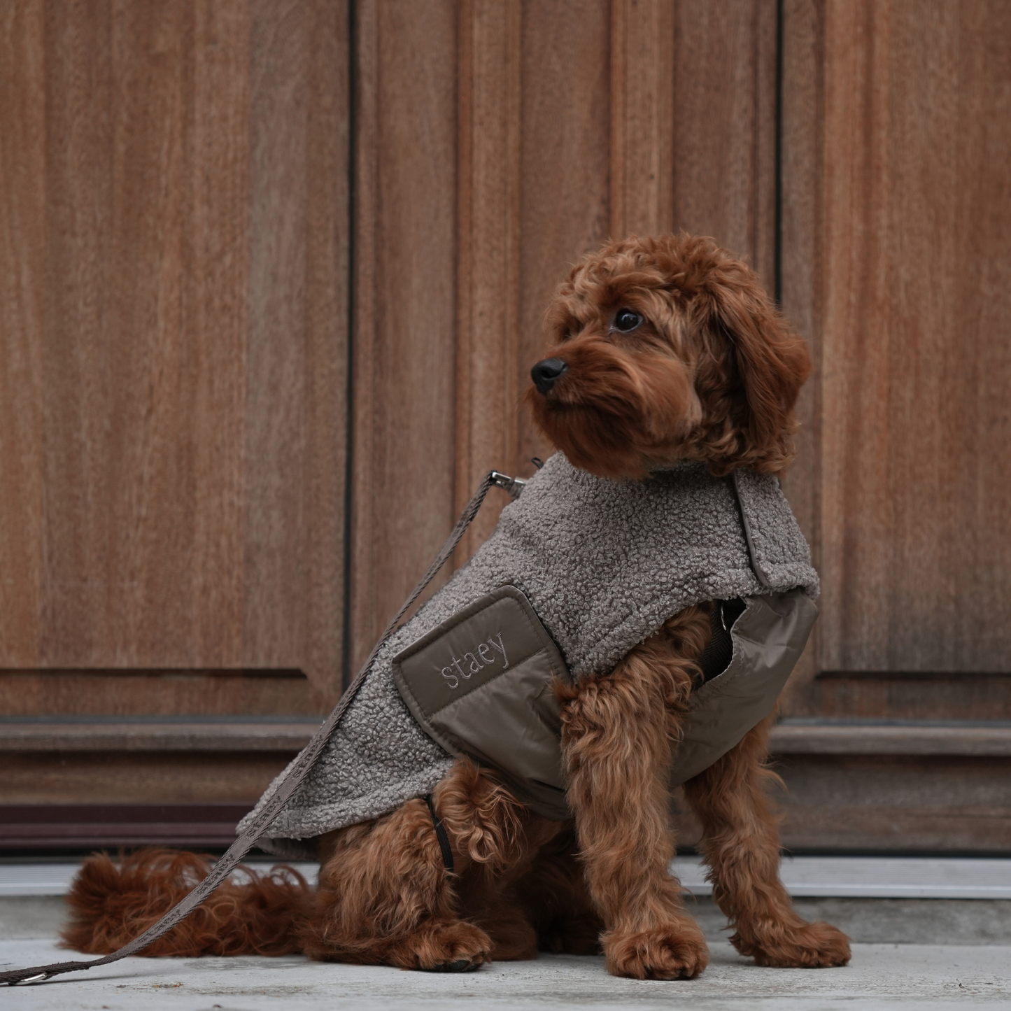 Hondenjas Teddy | Taupe