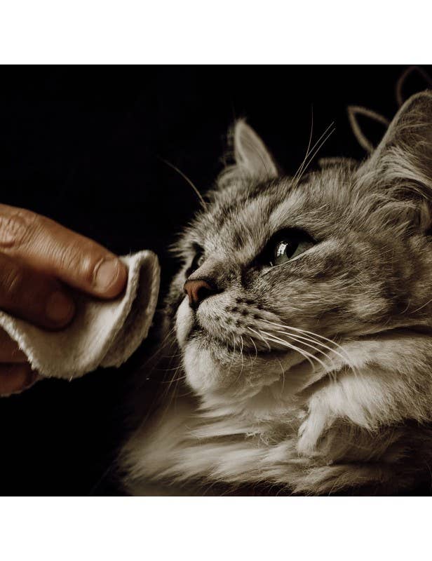 Reinigingslotion voor honden en katten