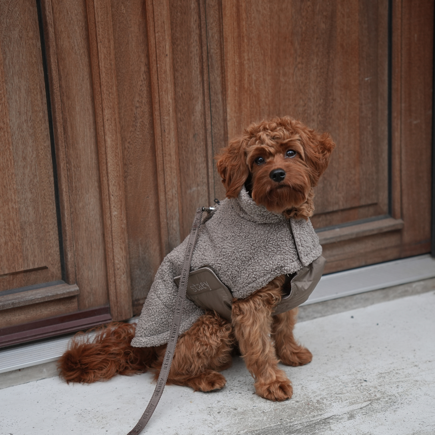 Hondenjas Teddy | Taupe
