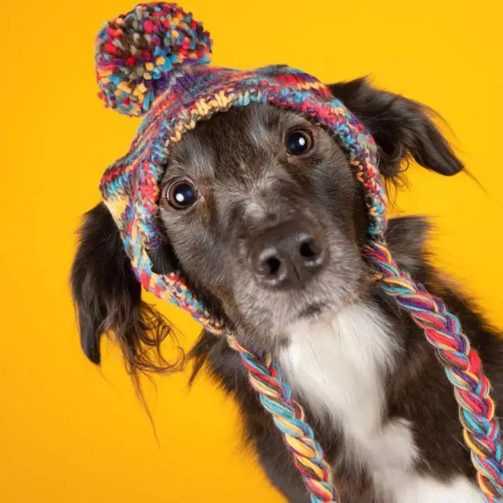 Spark Paws Knit Pom Pom Hondenmuts - Caleidoscoop