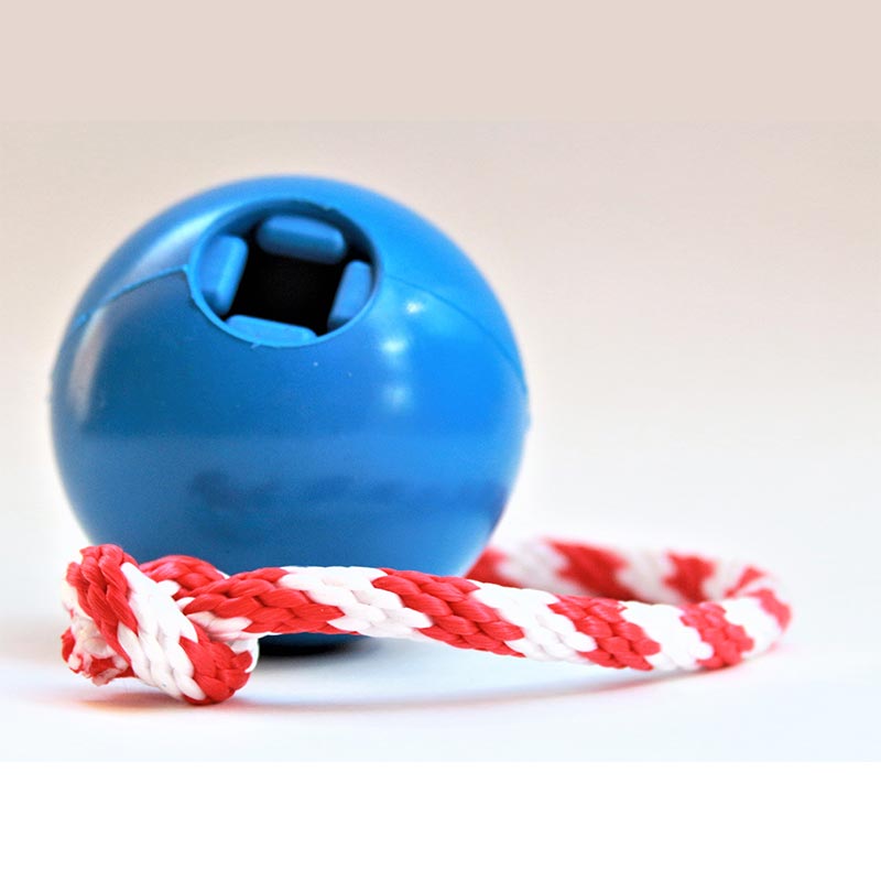 Sodapup USA K9 Cherry Bomb Medium – Blue